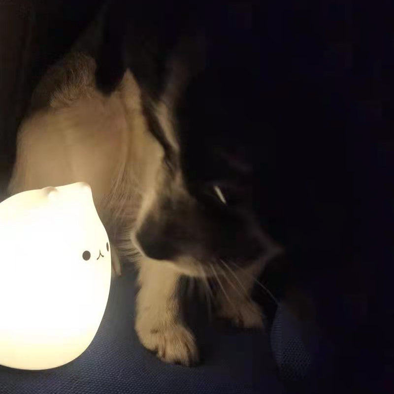 Veilleuse chat pour animaux 