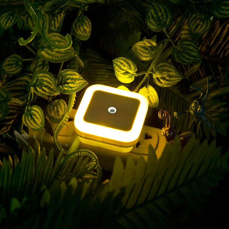 Prise lumineuse
